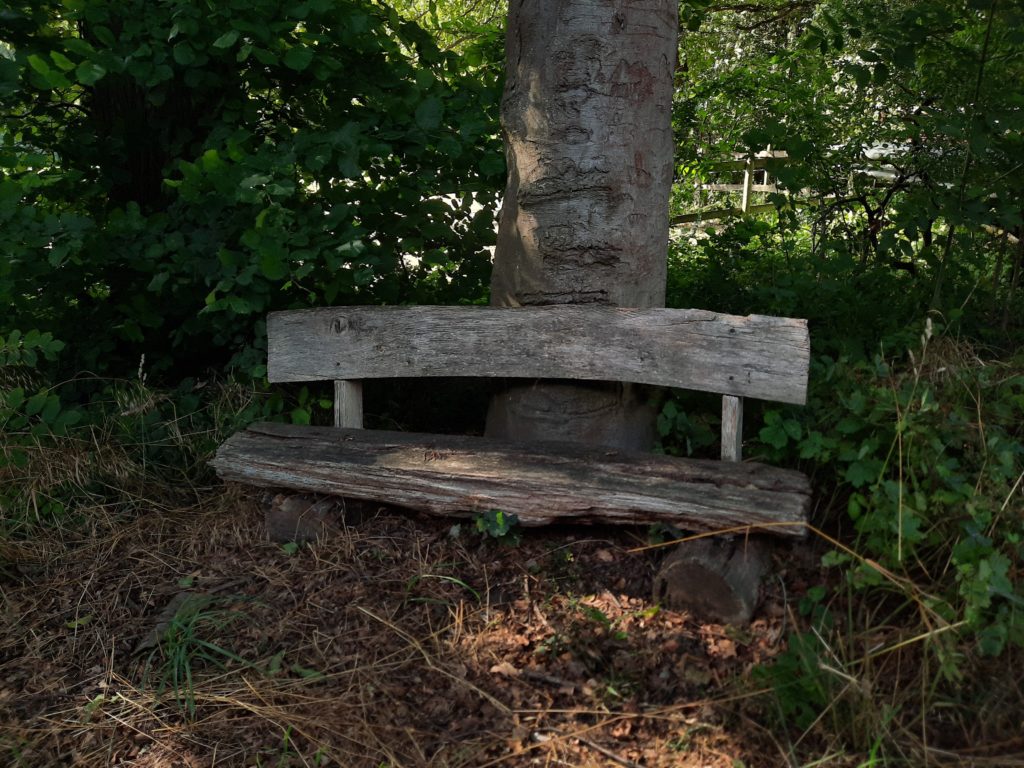Landschaft um Weste