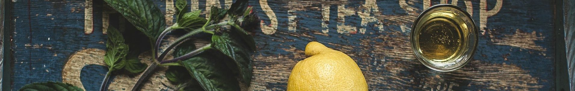 Atelier 10 in Uelzen – Kunst & Therapie